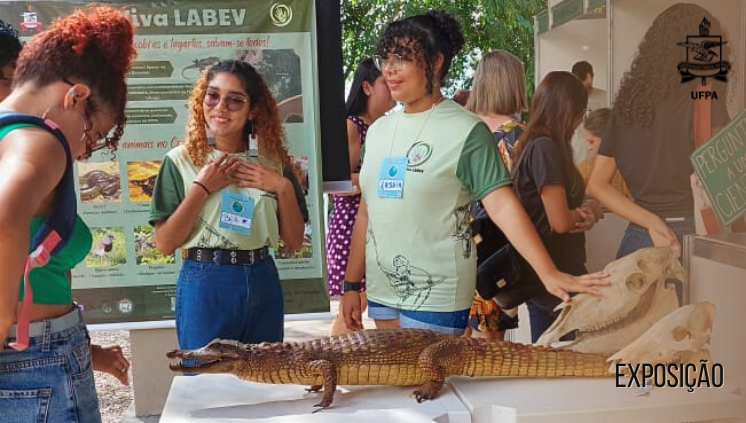 Exposição Conviva