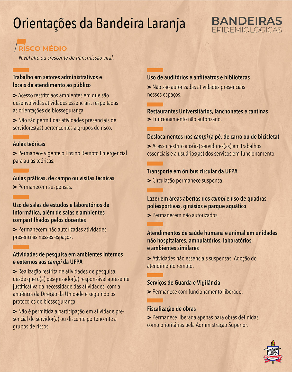 Artes Bandeira Laranja Infografico Portal