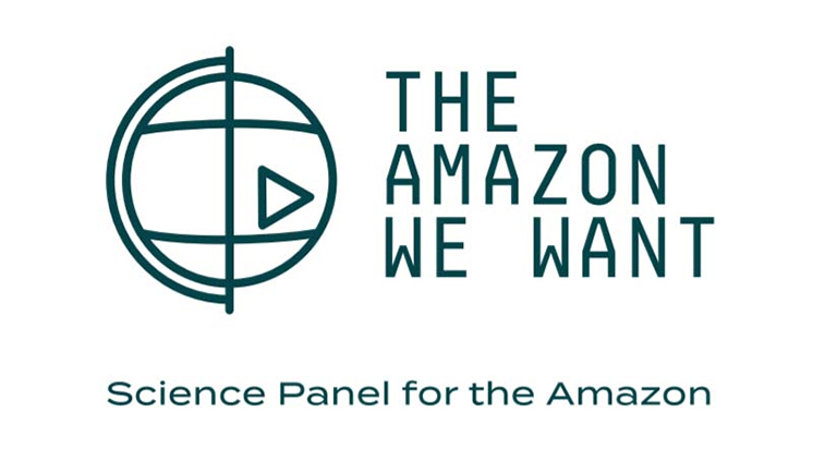 Panel for the Amazon