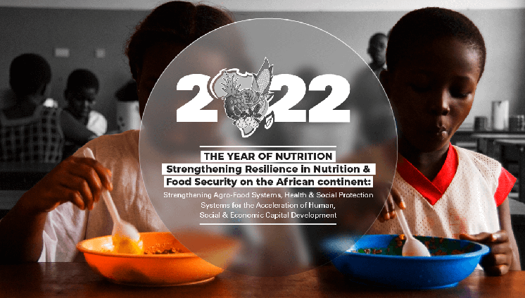 “Ano da Nutrição da União Africana
