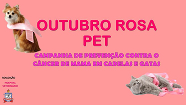 Outubro Rosa Pet